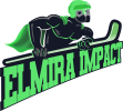 ElmiraImpact